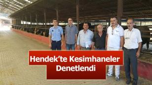 Hendek’te Kesimhaneler Denetlendi