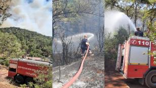 Orman yangınlarına karşı 16 tedbir
